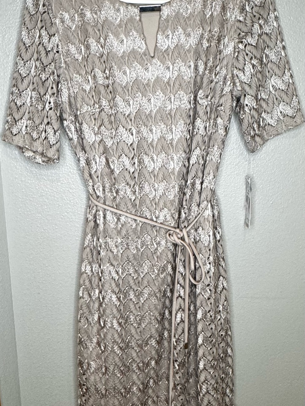 Lace and Subtle Shimmer Tan Belted Dress